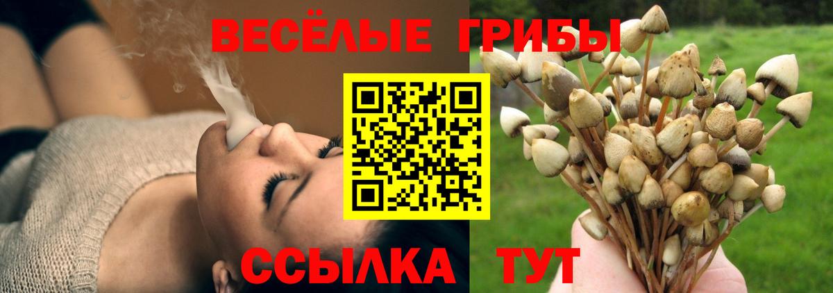 Галлюциногенные грибы Cubensis Богородицк